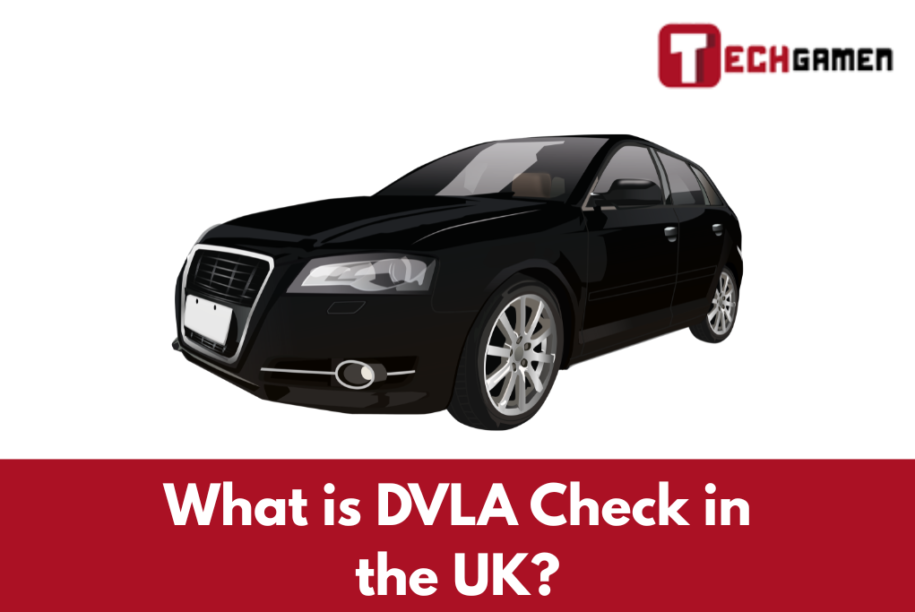 What is DVLA Check in the UK?